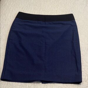 Elegant Black and Blue Women's Skirt
